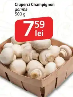 Supeco Ciuperci Champignon Ofertă