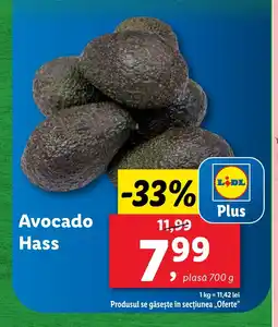 Lidl Avocado Hass Ofertă