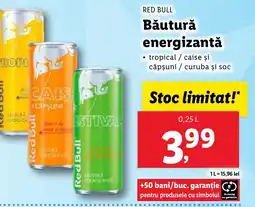 Lidl RED BULL Băutură energizantă Ofertă