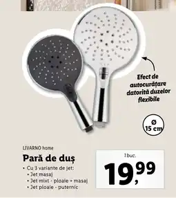 Lidl LIVARNO home Pară de duş Ofertă