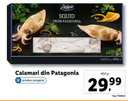 Lidl Deluxe Calamari din Patagonia Ofertă