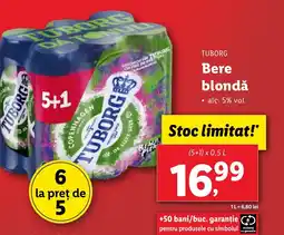 Lidl TUBORG Bere blondǎ Ofertă