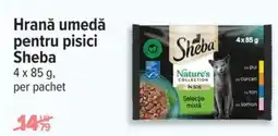 Carrefour Hrană umedă pentru pisici Sheba Ofertă