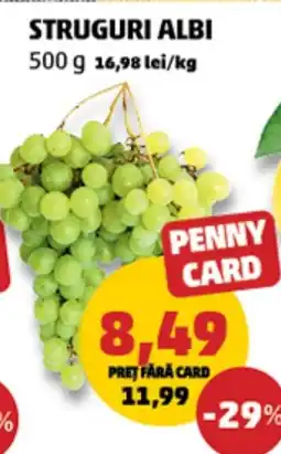 Penny Struguri albi Ofertă