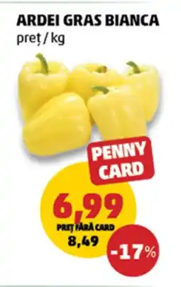 Penny Ardei gras bianca Ofertă