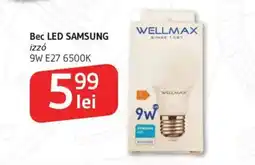 Supeco Bec LED SAMSUNG Ofertă