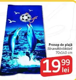 Supeco Prosop de plajă Ofertă