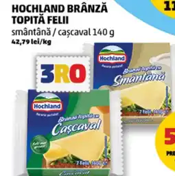 Penny Hochland brânză topită felii smântână / caşcaval Ofertă