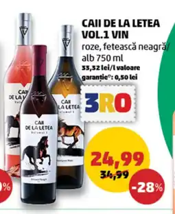Caii de la letea vol.1 vin