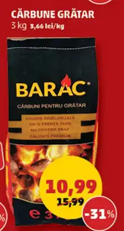 Penny Cărbune grătar Ofertă