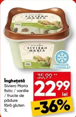 PROFI Îngheţată Ofertă