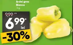 PROFI Ardei gras Bianca Ofertă