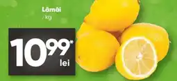 PROFI Lămâi Ofertă