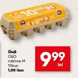 PROFI Ouǎ O&O mărime M Ofertă