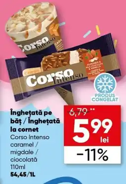 PROFI Îngheţată pe băţ / Îngheţată la cornet Ofertă