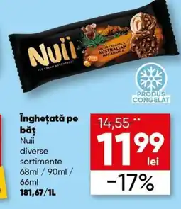 PROFI Îngheţată pe băţ Nuii diverse sortimente Ofertă