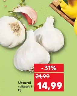 Kaufland Usturoi Ofertă