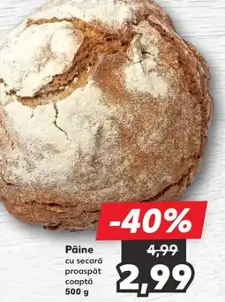 Kaufland Pâine cu secară proaspăt coaptă Ofertă