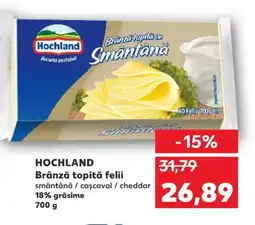 Kaufland HOCHLAND Brânză topită felii Ofertă