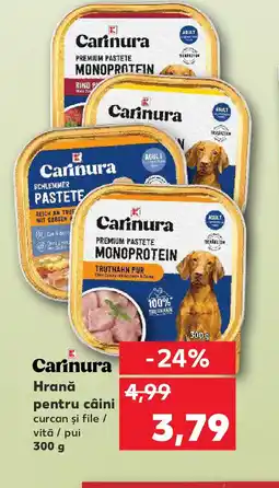 Kaufland Carinura Hrană pentru câini Ofertă