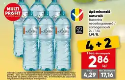 PROFI Apă minerală naturală Bucovina Ofertă