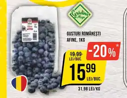 Mega Image Gusturi românești afine Ofertă