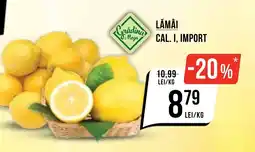 Mega Image Lămâi cal. i, import Ofertă