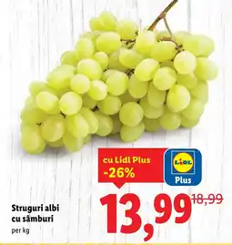 Lidl Struguri albi cu sâmburi Ofertă