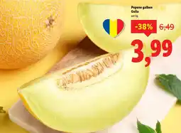 Lidl Pepene galben Galia Ofertă