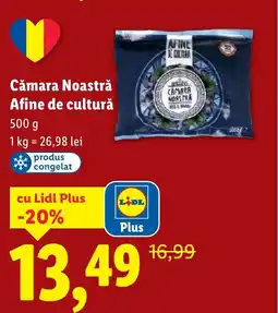 Lidl Cămara Noastră Afine de cultură Ofertă