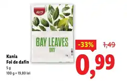 Lidl Kania Foi de dafin Ofertă
