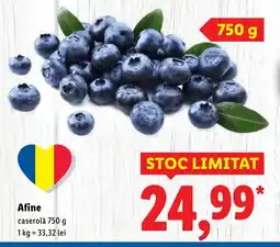 Lidl Afine Ofertă