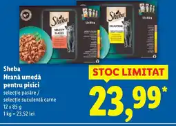 Lidl Sheba Hrană umedă pentru pisici Ofertă