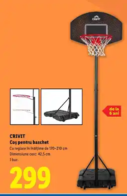Lidl CRIVIT Coş pentru baschet Ofertă