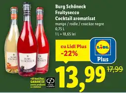 Lidl Burg Schöneck Fruitysecco Cocktail aromatizat Ofertă