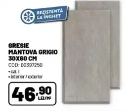 Ambient Gresie mantova grigio Ofertă
