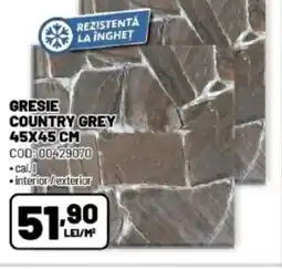Ambient Gresie country grey Ofertă