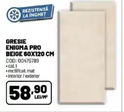 Ambient Gresie enigma pro beige Ofertă