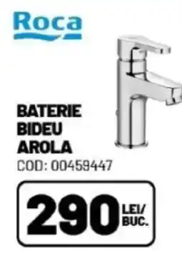 Ambient Baterie bideu arola Ofertă