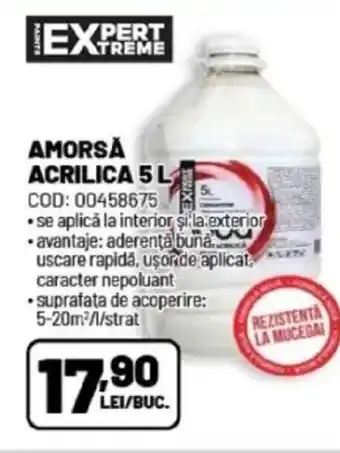 Ambient Amorsa acrilica Ofertă