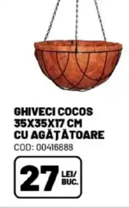 Ambient Ghiveci cocos cu agăţătoare Ofertă
