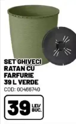 Ambient Set ghiveci ratan cu farfurie verde Ofertă