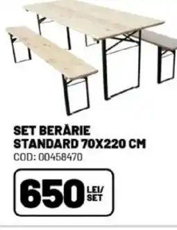 Ambient Set berarie standard Ofertă