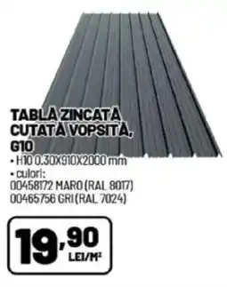 Ambient Tabla zincata cutata vopsità, G10 Ofertă