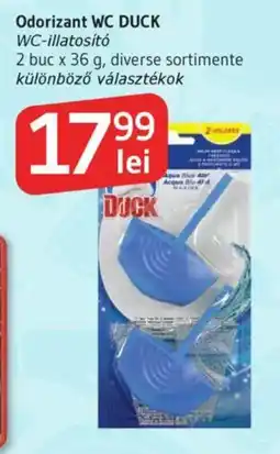 Odorizant WC DUCK