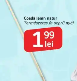 Supeco Coadă lemn natur Ofertă