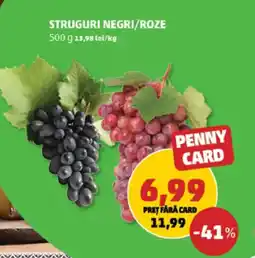Penny Struguri negri/roze Ofertă