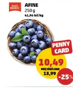 Penny Afine Ofertă