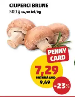 Penny Ciuperci brune Ofertă