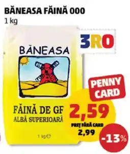 Penny Băneasa făină 000 Ofertă